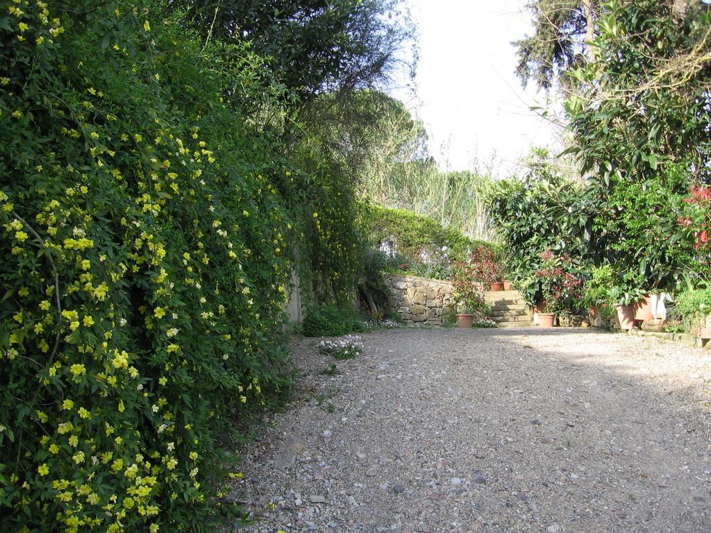 La Capanna Di Sovestro Ξενοδοχείο Σαν Τζιμινιάνο Δωμάτιο φωτογραφία